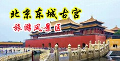 鸡巴AV骚屄中国北京-东城古宫旅游风景区
